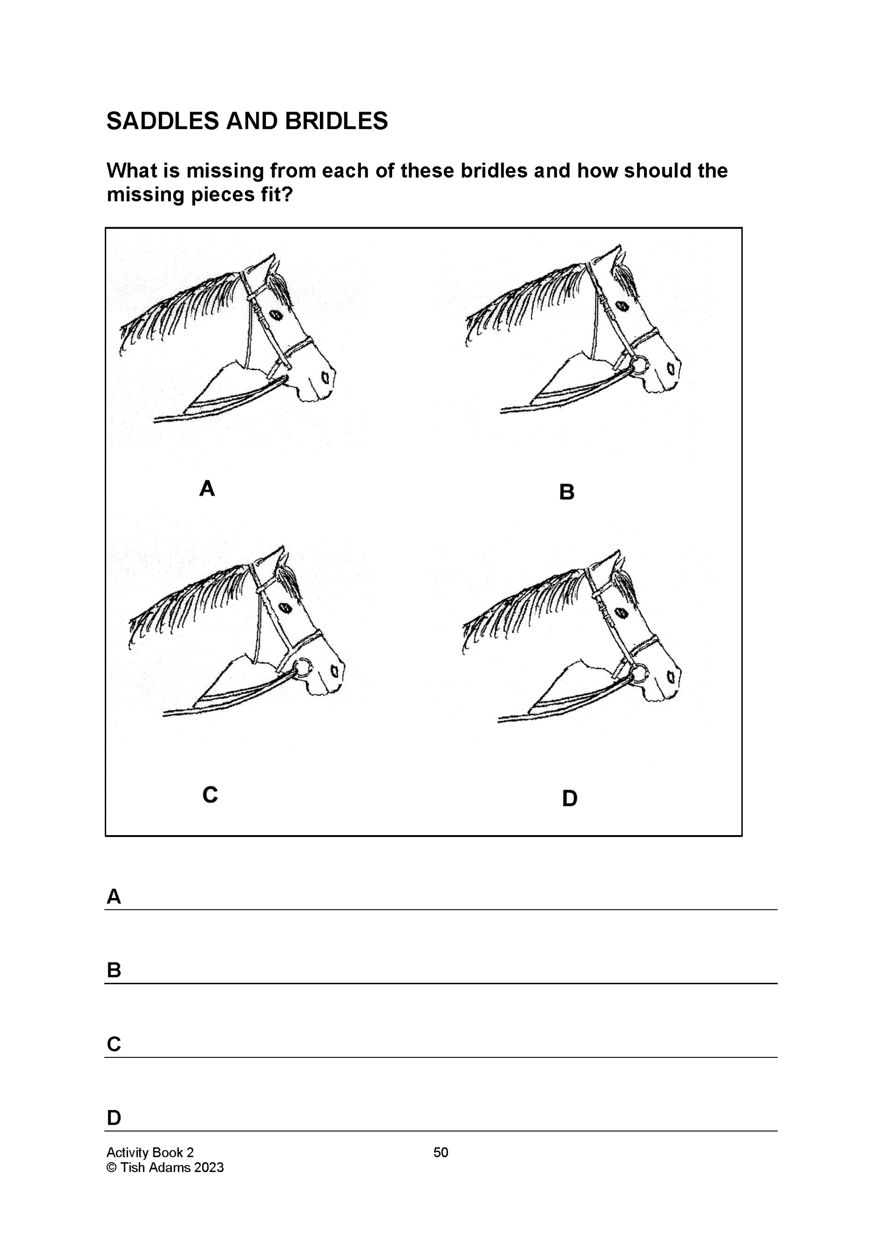 Activity Book 2 - Image 3